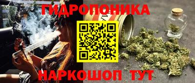 крисы Изобильный