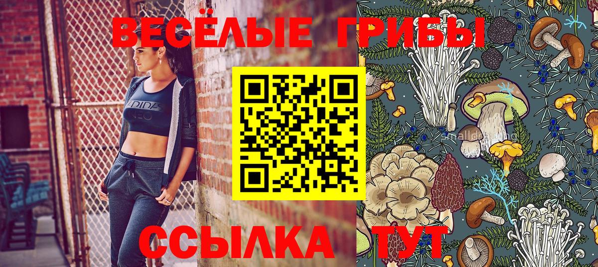 Псилоцибиновые грибы мицелий  Вход с VPN  Лыткарино  Псилоцибиновые грибы Psilocybe 