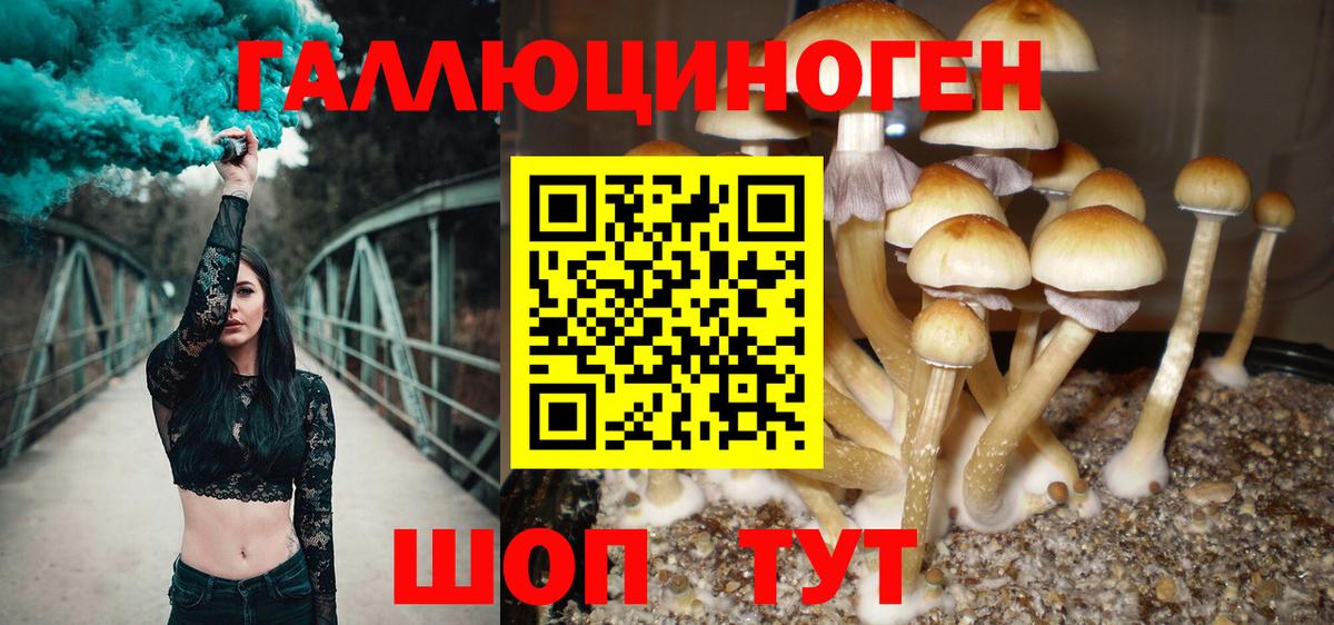 Псилоцибиновые грибы мицелий Лыткарино
